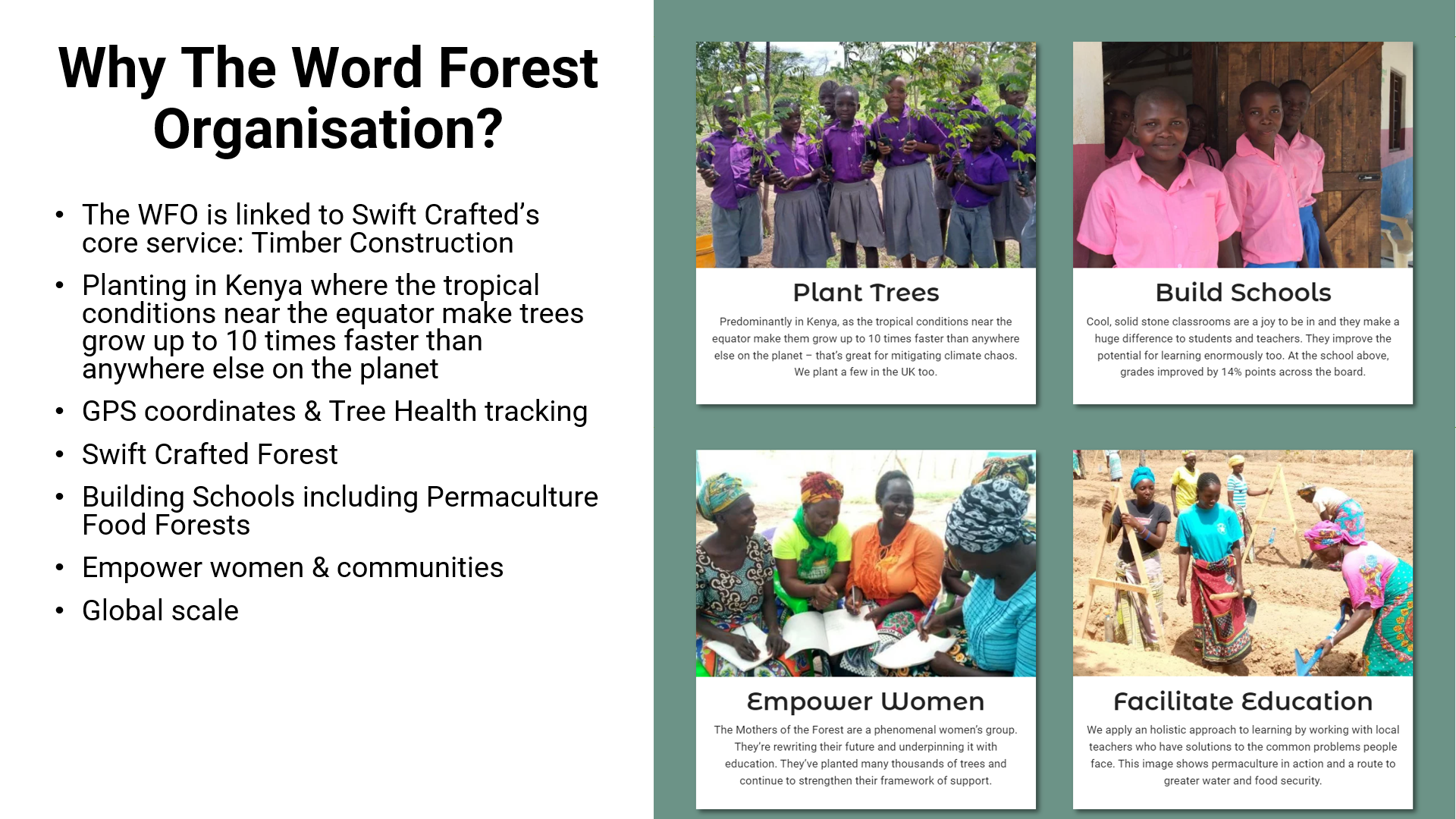 03 Who are the World Forest Organisation