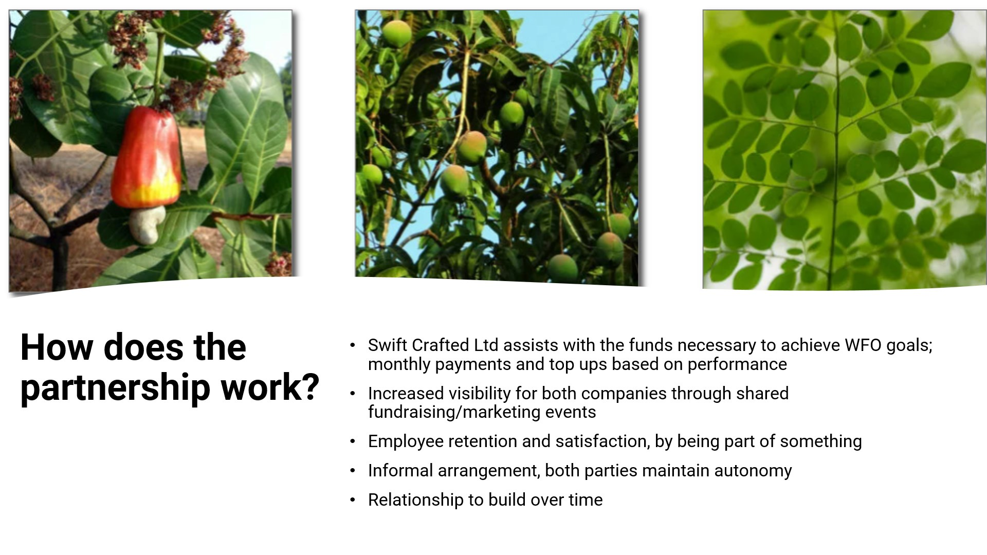 04 How the partnership works